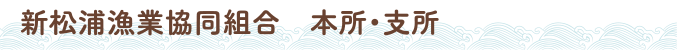 新松浦漁業協同組合　本所・支所