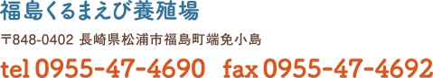 福島くるまえび養殖場　〒848-0402 長崎県松浦市福島町端免小島　tel0955-47-4690　fax0955-47-4692