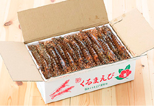 くるまえび（1kg）