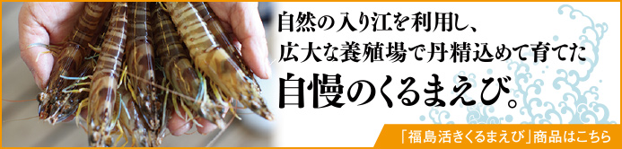 自然の入り江を利用し、広大な養殖場で丹精込めて育てた自慢のくるまえび。